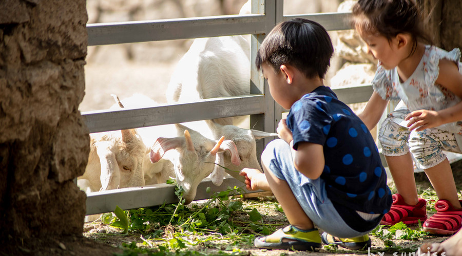 永川樂和樂都娛樂天堂、野生動物世界雙園一日游